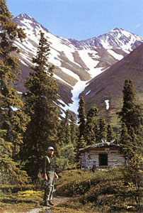 Dick Proenneke's cabin